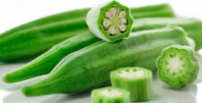 Conoces la Okra? no puede faltar en tus recetas 6 Conoces la Okra? no puede faltar en tus recetas