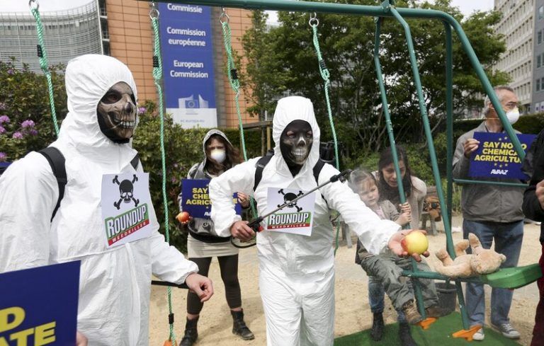 Semana internacional sin pesticidas 1 Semana internacional sin pesticidas