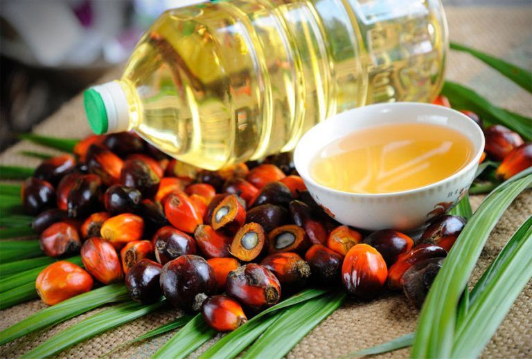 Aceite de palma: perjudicial para la salud y el ambiente 4 Aceite de palma: perjudicial para la salud y el ambiente