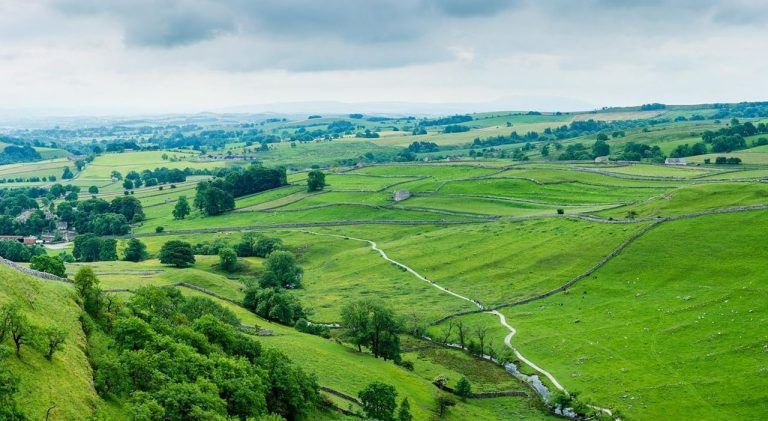 Subsidios agrícolas alejan al Reino Unido del cero neto 8 Subsidios agrícolas alejan al Reino Unido del cero neto