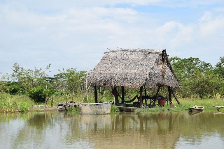 Tierras indígenas en la Amazonía, son barreras contra la deforestación 10 Tierras indígenas en la Amazonía, son barreras contra la deforestación