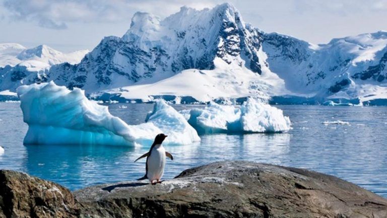 La superficie de hielo marino antártico alcanza un nuevo mínimo histórico 5 La superficie de hielo marino antártico alcanza un nuevo mínimo histórico