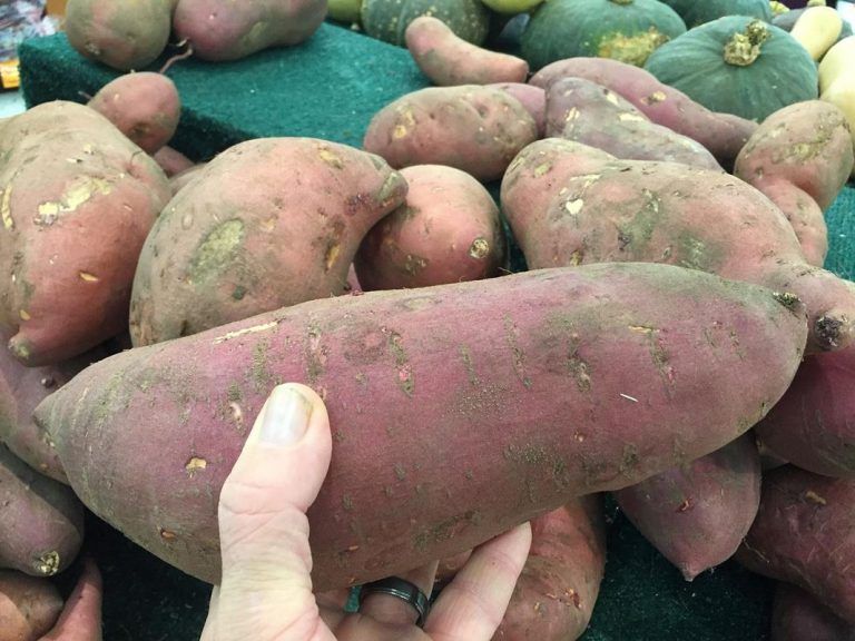 Beneficios para la salud de comer batatas o camotes 10 Beneficios para la salud de comer batatas o camotes