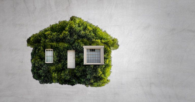 7 claves para una remodelación ecológica del hogar