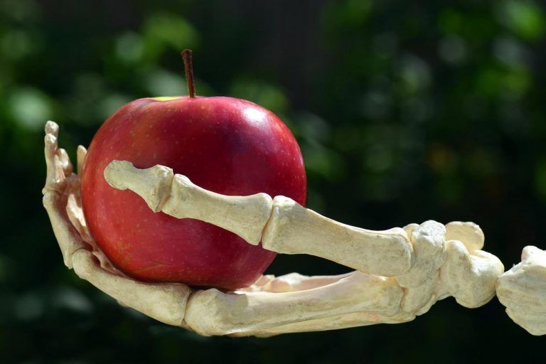Pesticidas están haciendo que los alimentos sean inseguros 10 Pesticidas están haciendo que los alimentos sean inseguros