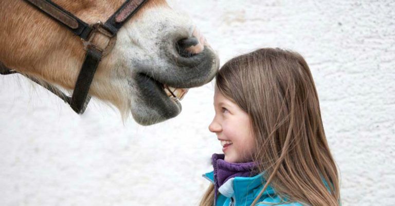 ¿Qué es la Terapia con animales? 10 beneficios 4 ¿Qué es la Terapia con animales? 10 beneficios