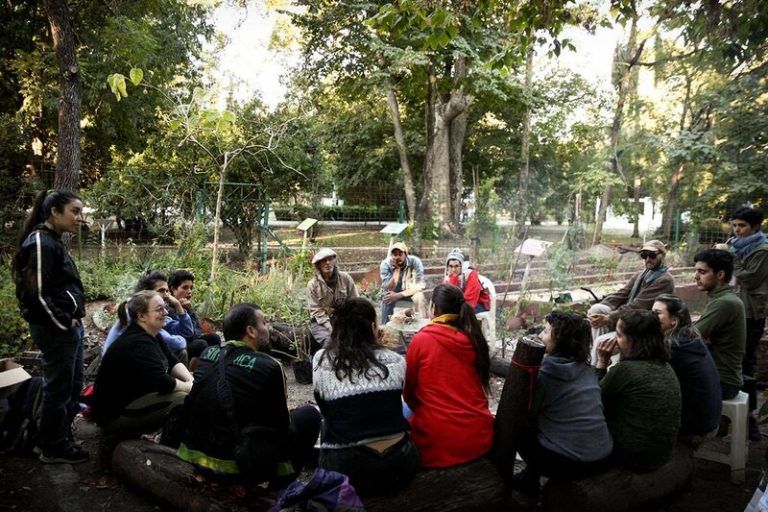 Huertas urbanas en La Plata: alimento, salud y comunidad  