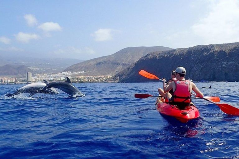 Avistamiento respetuoso de cetáceos en las Islas Canarias 6 Avistamiento respetuoso de cetáceos en las Islas Canarias