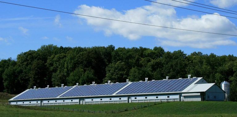 Las empresas deben hacer la transición hacia las energías renovables 10 Las empresas deben hacer la transición hacia las energías renovables