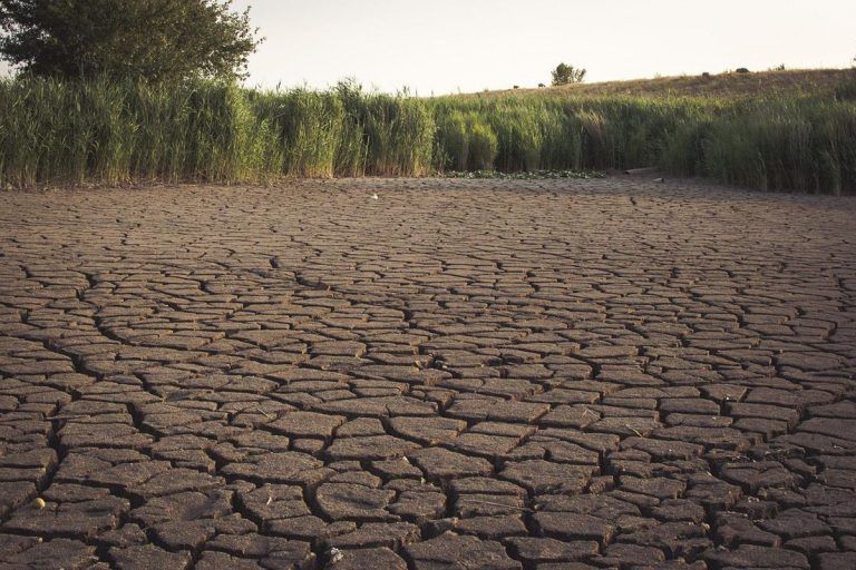 La escasez de agua afectará a la agricultura mundial 9 La escasez de agua afectará a la agricultura mundial