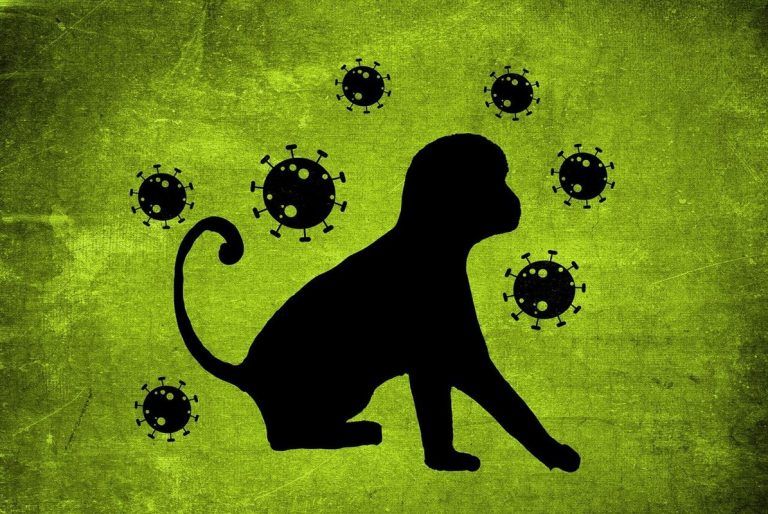 Viruela del mono: el peligro de las enfermedades zoonóticas 10 Viruela del mono: el peligro de las enfermedades zoonóticas