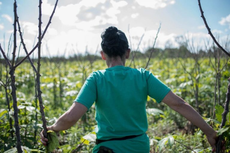 Recuperación de tierras en Misiones, Argentina: una lucha por la justicia social y una vida digna