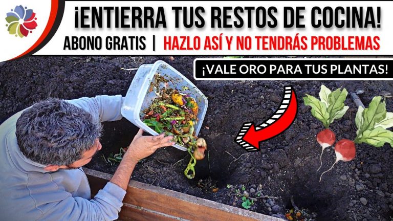 Se pueden enterrar los restos de cocina directo en la huerta? 2 Se pueden enterrar los restos de cocina directo en la huerta?