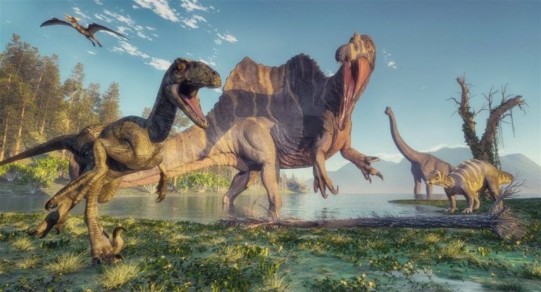 “Si los dinosaurios se extinguieron durante un período de cambio climático, lo mismo nos puede suceder a nosotros” 3 “Si los dinosaurios se extinguieron durante un período de cambio climático, lo mismo nos puede suceder a nosotros”