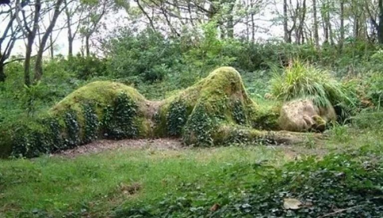 EcoTerapia: El Poder sanador de la Naturaleza 4 EcoTerapia: El Poder sanador de la Naturaleza