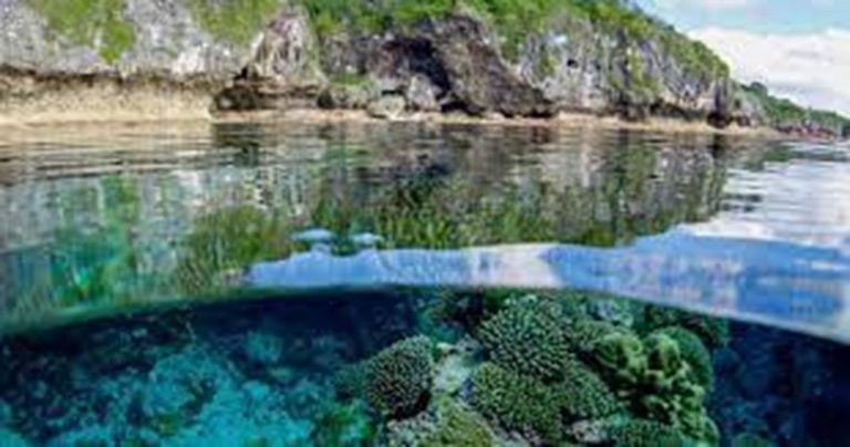 Isla del Pacífico decide proteger el 100% de su océano 6 Isla del Pacífico decide proteger el 100% de su océano