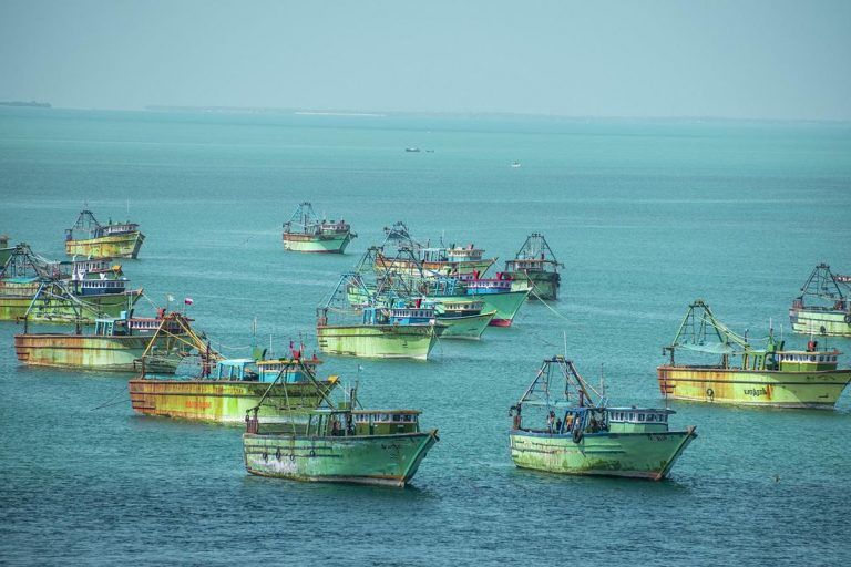 Preocupan los impactos del cambio climático en los peces 3 Preocupan los impactos del cambio climático en los peces