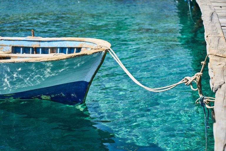 El cambio climático está en el menú de los restaurantes de mariscos 5 El cambio climático está en el menú de los restaurantes de mariscos