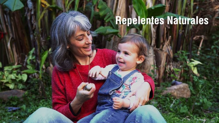 Cómo elaborar repelentes naturales - CATA Vol II 2 Cómo elaborar repelentes naturales – CATA Vol II