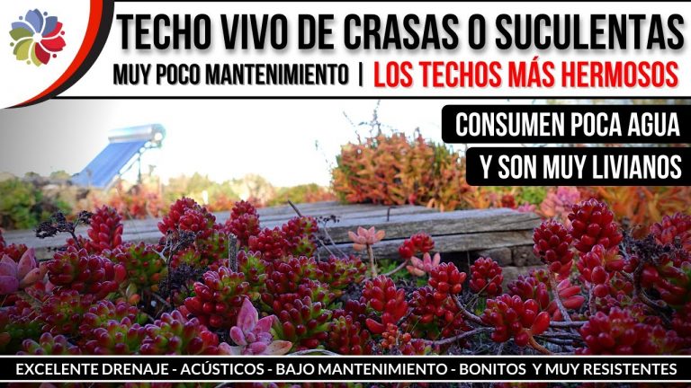 Techo vivo de suculentas: Liviano, bajo consumo de agua y de poco mantenimiento 2 Techo vivo de suculentas: Liviano, bajo consumo de agua y de poco mantenimiento