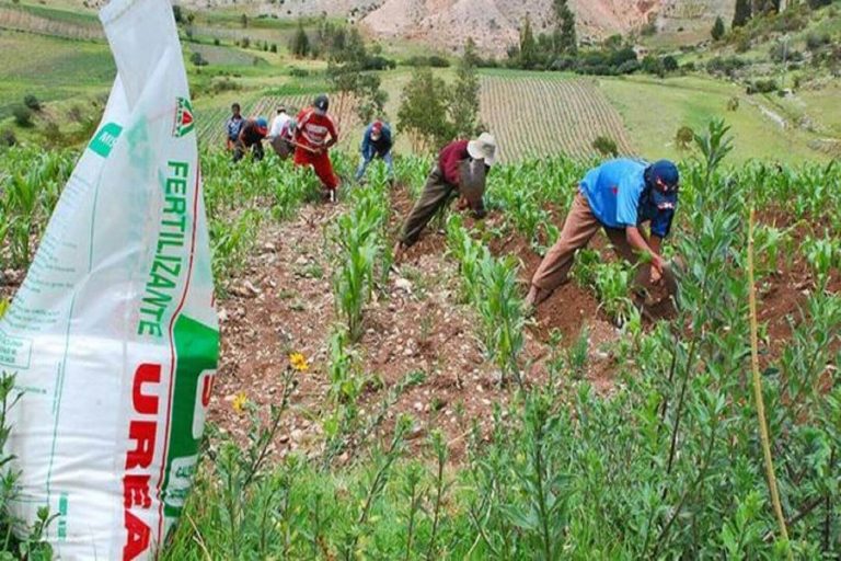 El aumento del precio de los fertilizantes confirma la dependencia del modelo agroquímico 3 El aumento del precio de los fertilizantes confirma la dependencia del modelo agroquímico