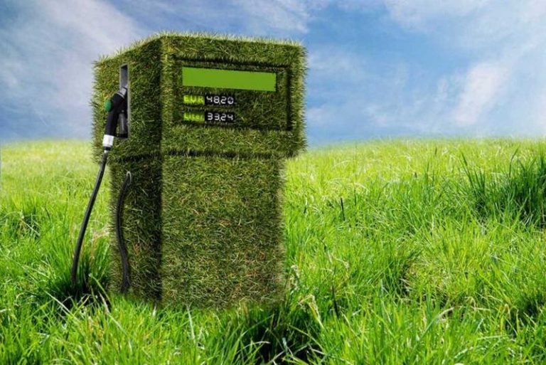 Biocombustibles, un riesgo para la seguridad alimentaria y la biodiversidad 8 Biocombustibles, un riesgo para la seguridad alimentaria y la biodiversidad