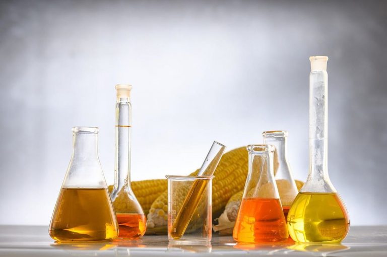 Detener el uso de biocombustibles aliviaría la crisis alimentaria 7 Detener el uso de biocombustibles aliviaría la crisis alimentaria