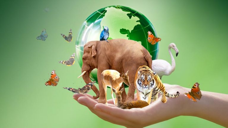 37% de especies estarían extintas para el 2100, advierte estudio 8 37% de especies estarían extintas para el 2100, advierte estudio