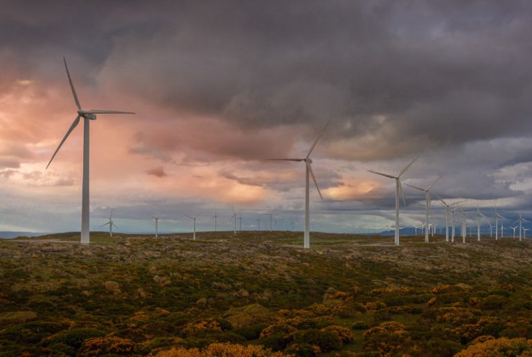 El Bierzo eólico: un plan diseñado por cementeras y petroleras 4 El Bierzo eólico: un plan diseñado por cementeras y petroleras