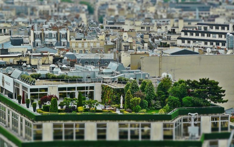 Los jardines urbanos pueden ayudar mucho a las abejas 2 Los jardines urbanos pueden ayudar mucho a las abejas
