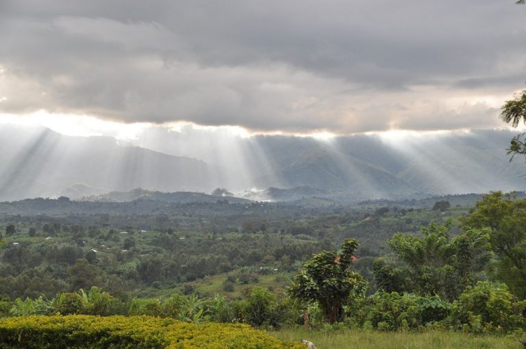 Congo lucha contra la deforestación y el coste humano 10 Congo lucha contra la deforestación y el coste humano