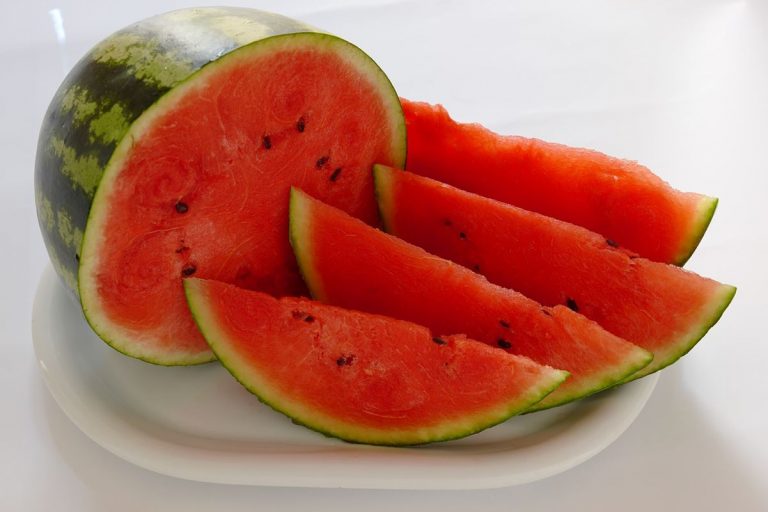 La gran Sandía: Vitamina C, A, potasio y licopeno 1 La gran Sandía: Vitamina C, A, potasio y licopeno