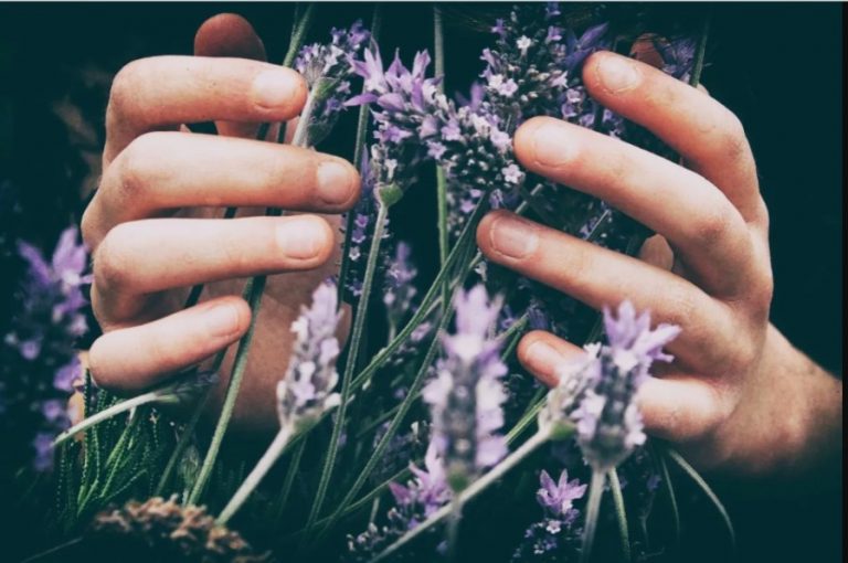 Cómo equilibrar los chakras con plantas