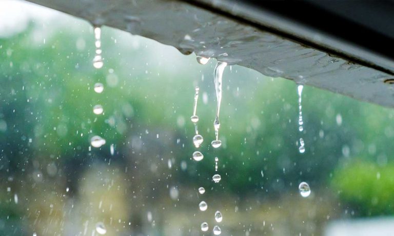 El agua de lluvia de todo el planeta está contaminada por 'sustancias químicas permanentes' 6 El agua de lluvia de todo el planeta está contaminada por ‘sustancias químicas permanentes’