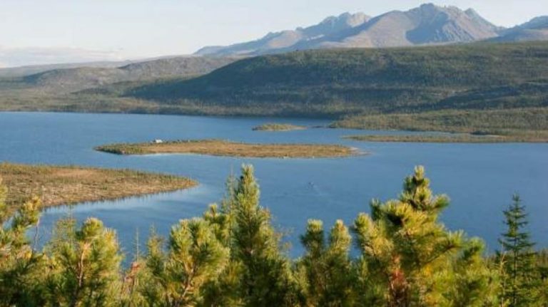 Crisis climática: Bosques en los polos y desiertos tropicales 2 Crisis climática: Bosques en los polos y desiertos tropicales
