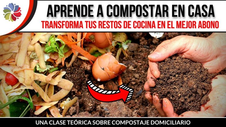 Aprende a compostar en casa y sin olores 8 Aprende a compostar en casa y sin olores