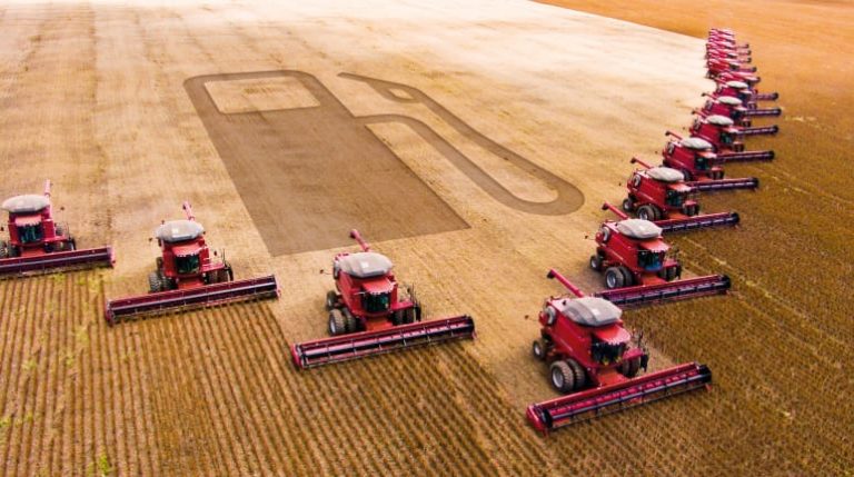 Crisis alimentaria y biocombustibles, dejen de usar alimentos para sus coches 7 Crisis alimentaria y biocombustibles, dejen de usar alimentos para sus coches