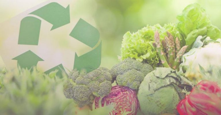 La eco agricultura aumenta la biodiversidad y el rendimiento de los cultivos 6 La eco agricultura aumenta la biodiversidad y el rendimiento de los cultivos