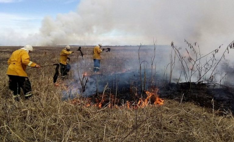 Incendios del Delta, graves acusaciones 4 Incendios del Delta, graves acusaciones