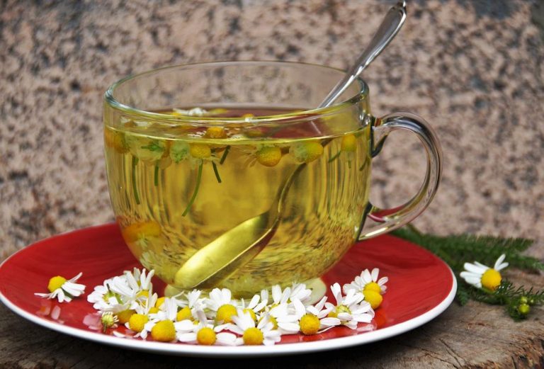 Por qué tomar infusiones después de las comidas 7 Por qué tomar infusiones después de las comidas