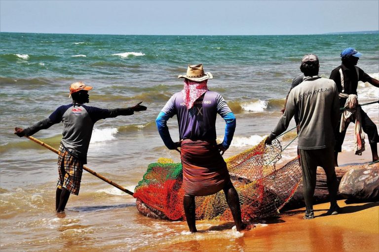 Islas del Pacífico se enfrentan a más olas de calor marinas