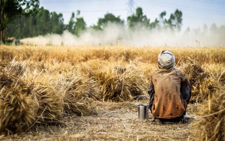 Precios de los alimentos seguirán aumentando. El sistema está 'roto', dicen los expertos 5 Precios de los alimentos seguirán aumentando. El sistema está ‘roto’, dicen los expertos