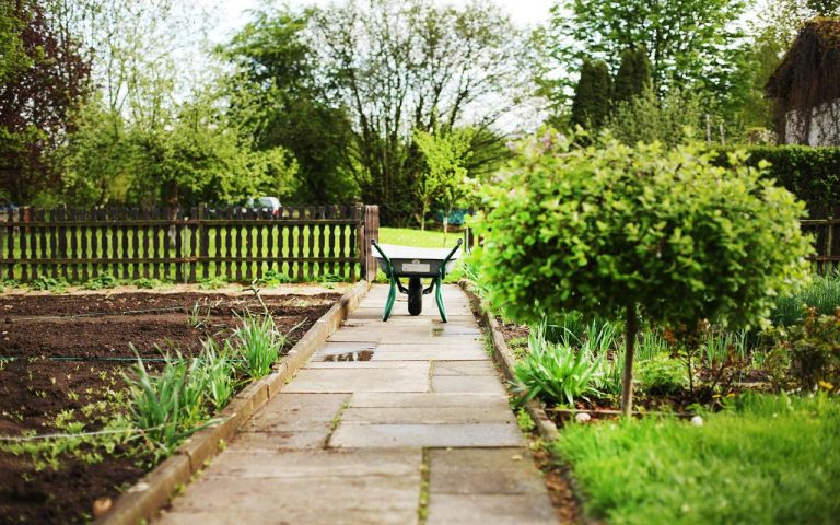 7 formas de crear tu jardín sostenible 5 7 formas de crear tu jardín sostenible