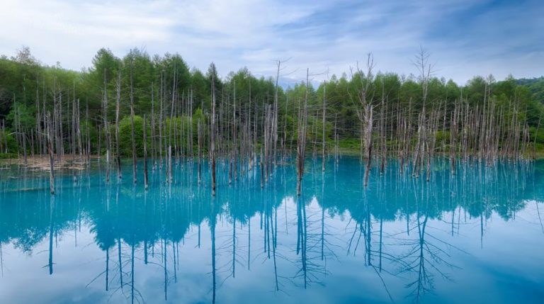 Los colores del planeta ya no son los mismos por el cambio climático 4 Los colores del planeta ya no son los mismos por el cambio climático