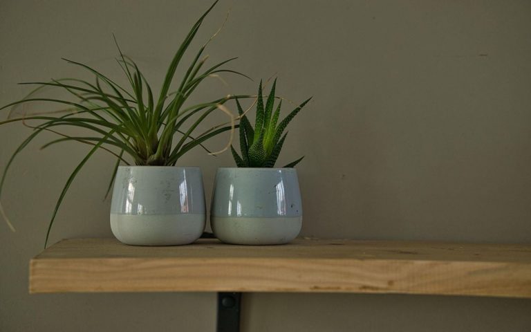 Encuentra los maceteros ideales para decorar tus espacios