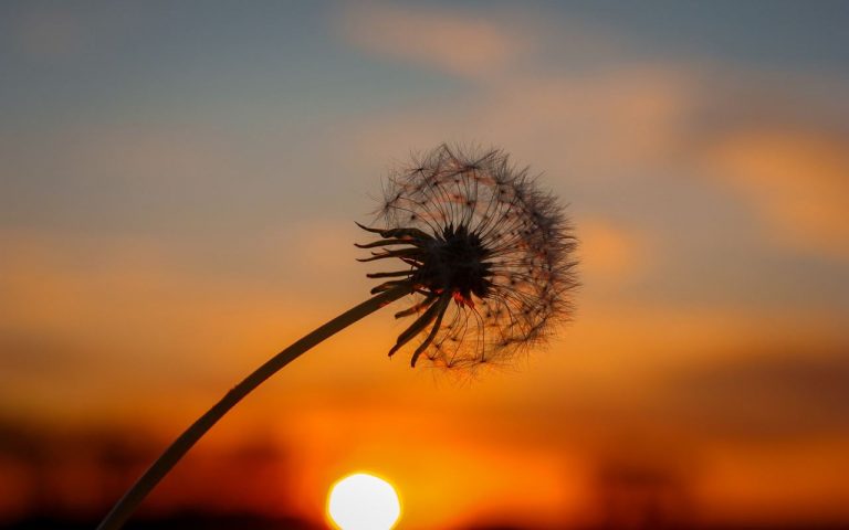 ONU espera un colapso climático catastrófico 3 ONU espera un colapso climático catastrófico