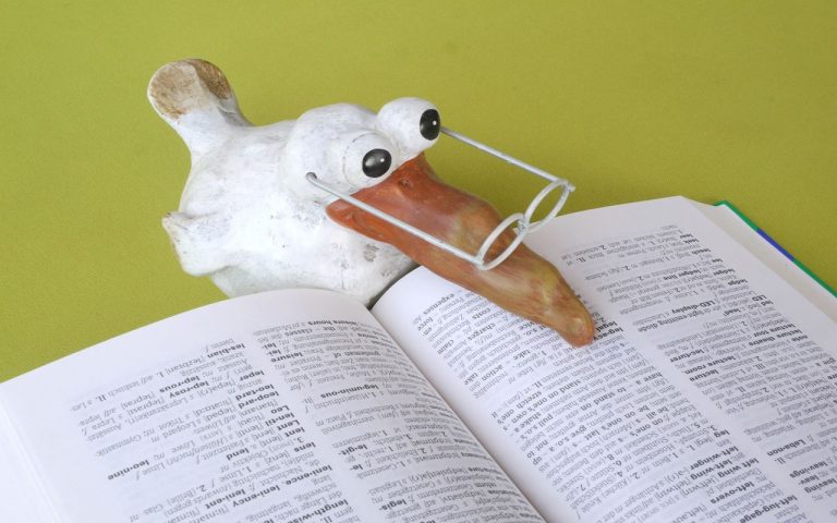 ¿Por qué los pájaros ponen pedazos de papel entre sus plumas?