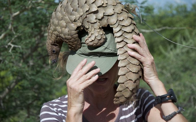 La militarización de la lucha contra el comercio ilegal de vida silvestre 8 La militarización de la lucha contra el comercio ilegal de vida silvestre
