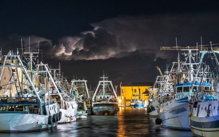 Pesca ilegal cuesta miles de millones a países en desarrollo 3 Pesca ilegal cuesta miles de millones a países en desarrollo