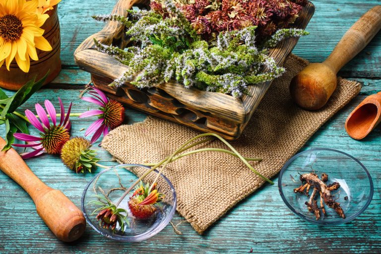 Cuáles son las plantas adaptógenas y qué hacen por tu salud 5 Cuáles son las plantas adaptógenas y qué hacen por tu salud